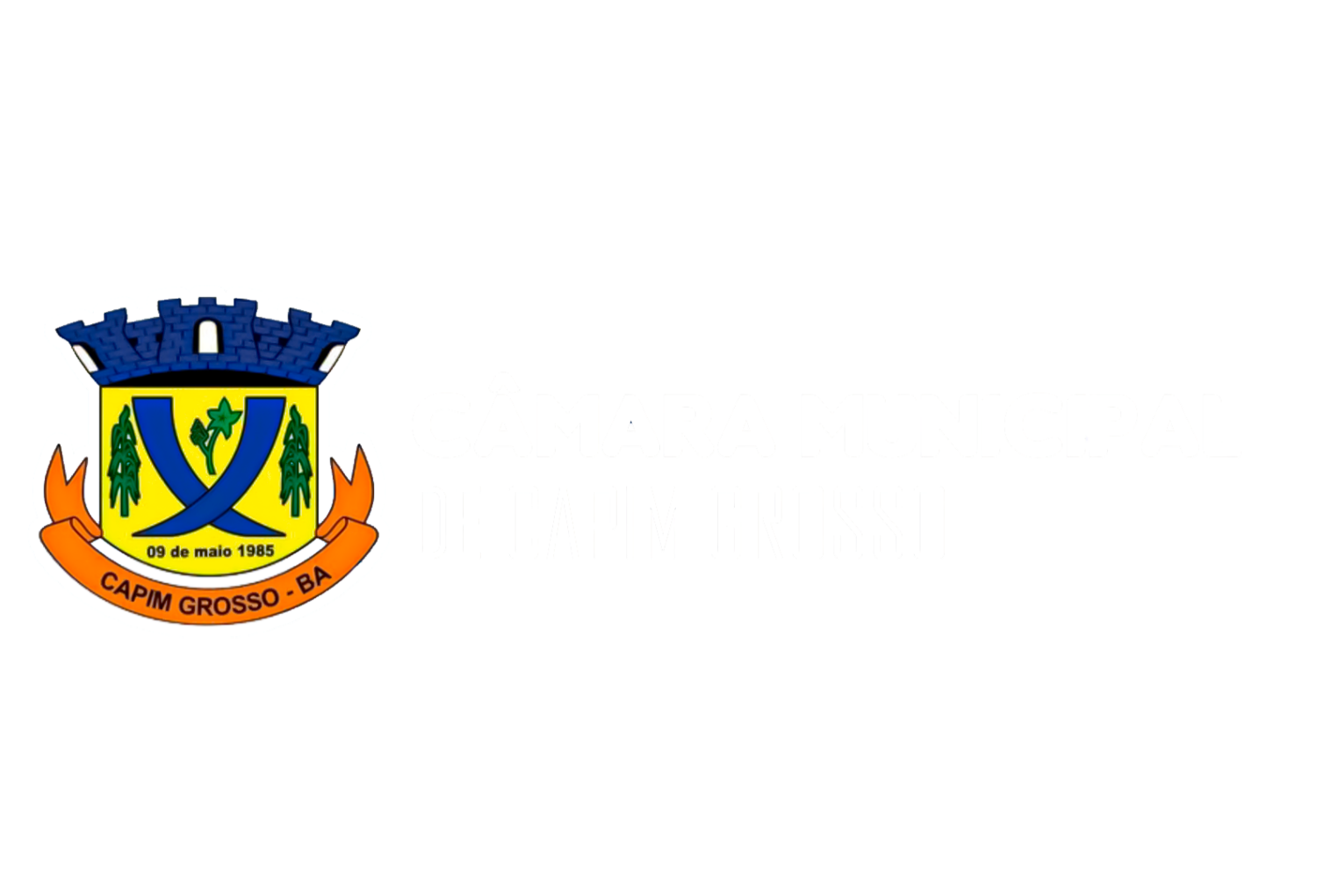 Câmara municipal capim grosso